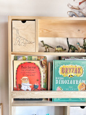 Dinusiowa półka biblioteczka z szufladkami