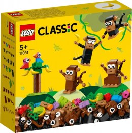 LEGO Klocki Classic 11031 Kreatywna małpia zabawa
